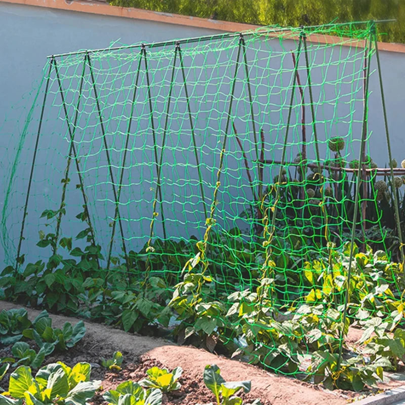 High-quality Garden Climbing Netting Strong Nylon