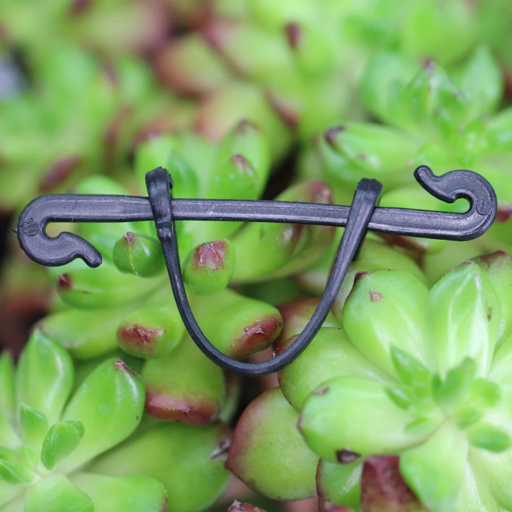 100pcs Garden Plant  Hook Stems Fastener