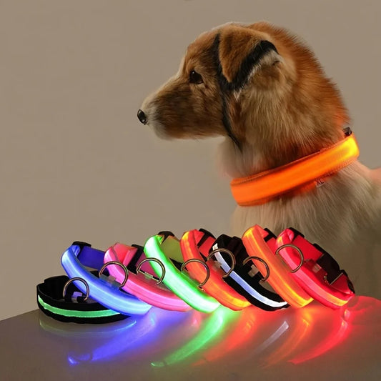 Nylon LED Night Safety Flashing Glow In The Dark Dog