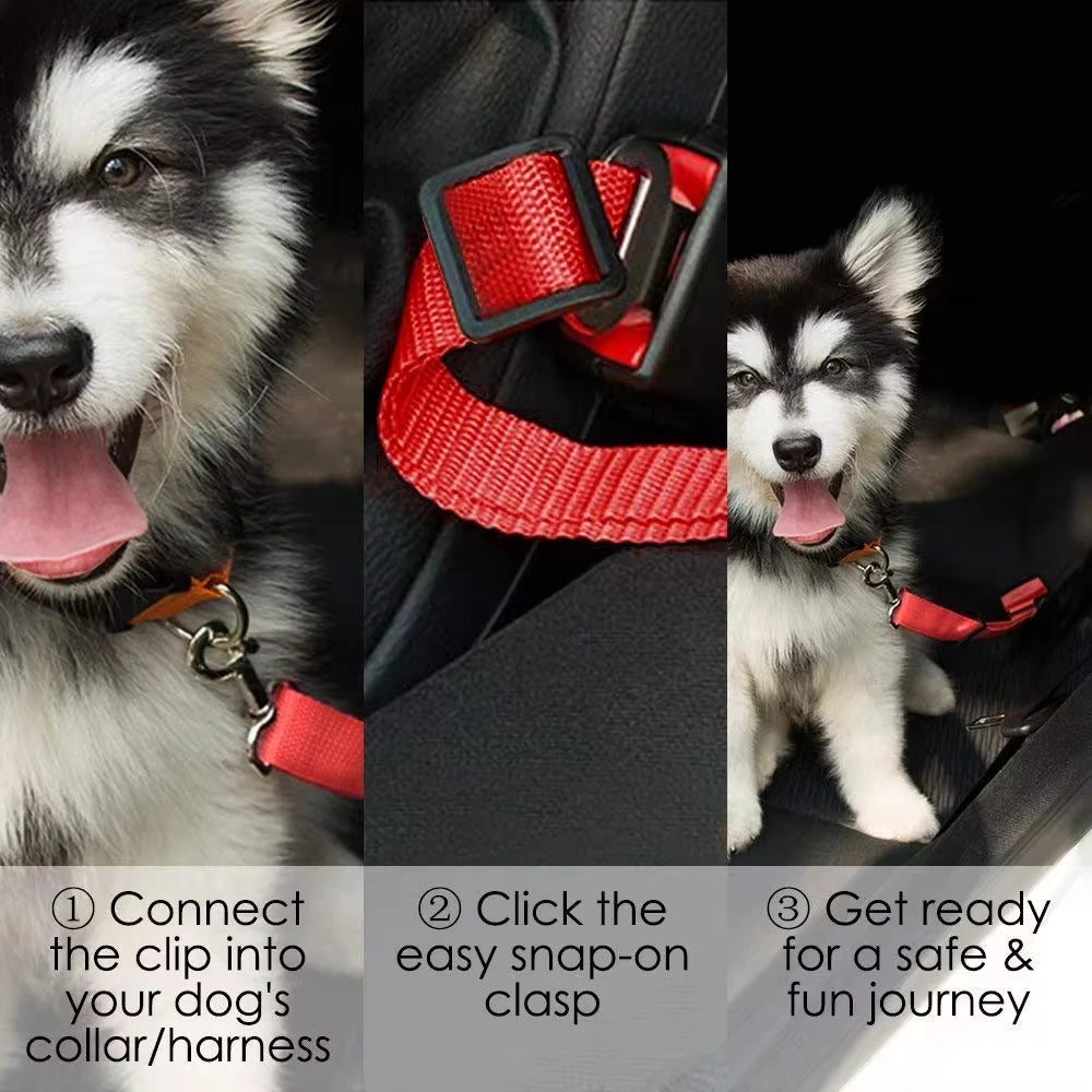 Dog Car Seat Belt