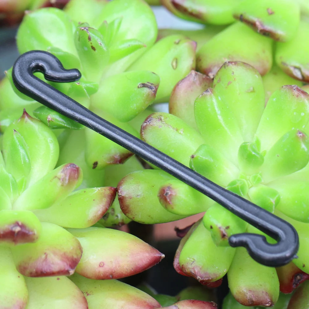 100pcs Garden Plant  Hook Stems Fastener