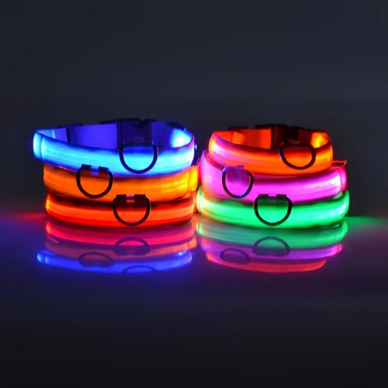 Nylon LED Night Safety Flashing Glow In The Dark Dog