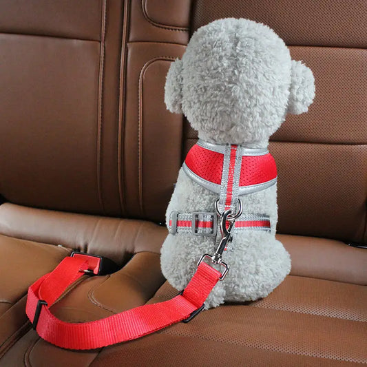 Dog Car Seat Belt